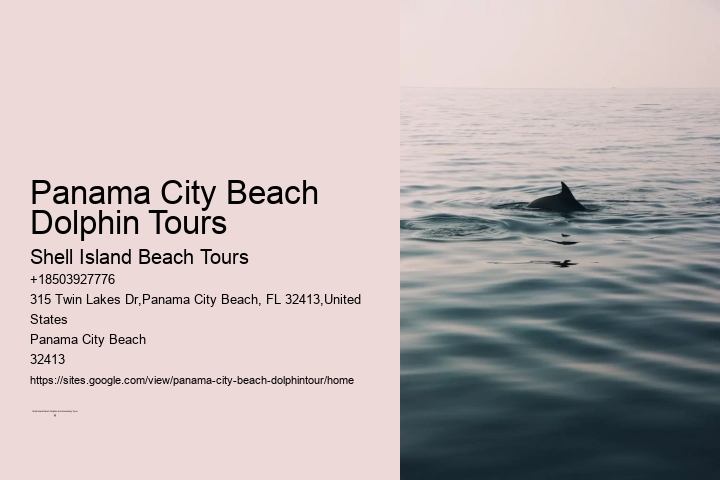 Panama City Beach Dolphin Tours